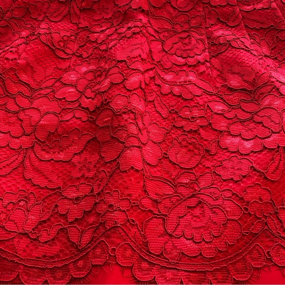 H & M Red Laced Floral A-Line Mini Skirt Women’s Size 8 Fully- Zippered Back - Picture 13 of 16